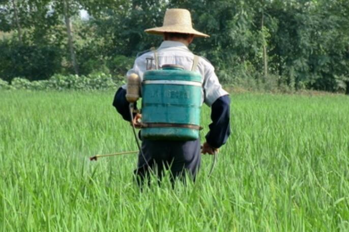 農(nóng)用無人機，飛防服務(wù)，植保無人機